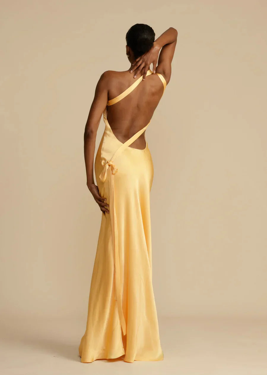 Alicia - Backless Silk Dress