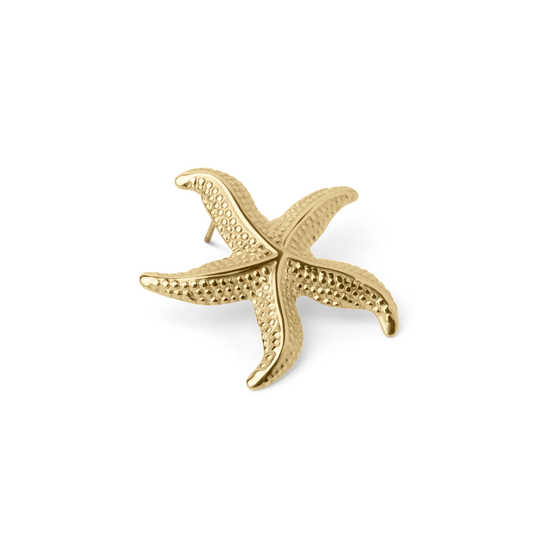 Sea star Earrings