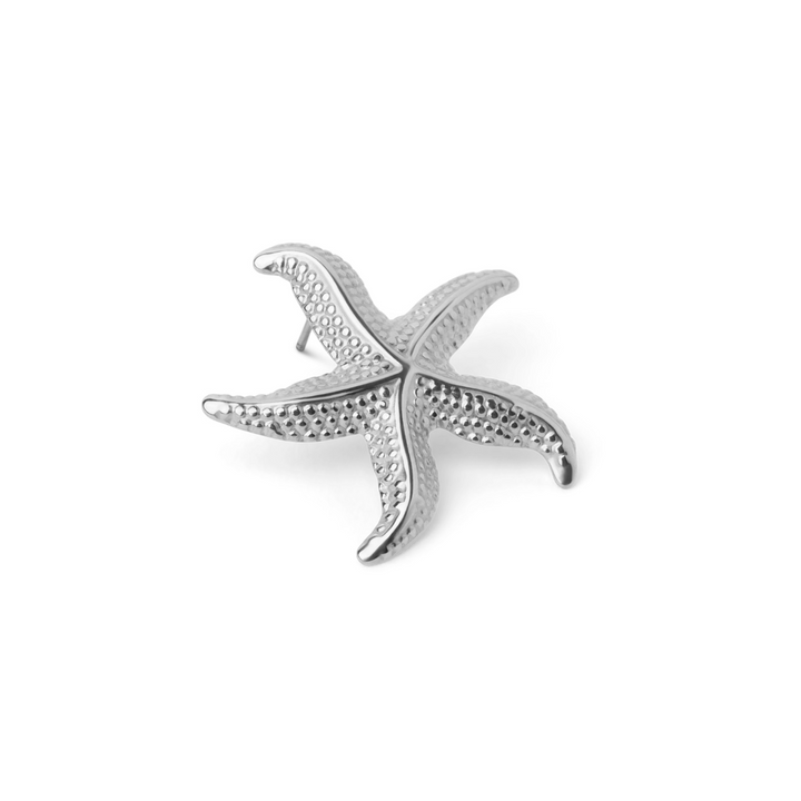 Sea star Earrings