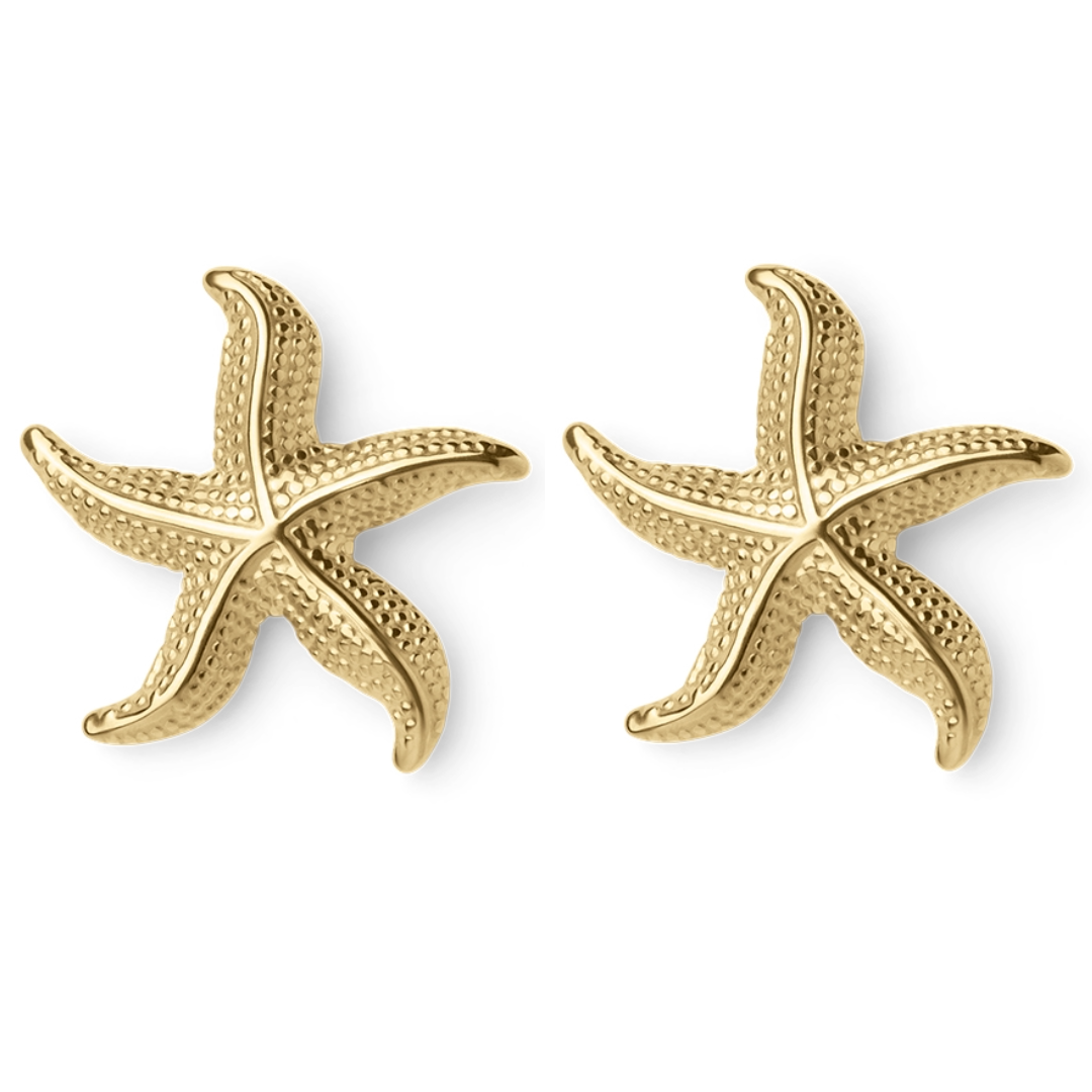 Sea star Earrings